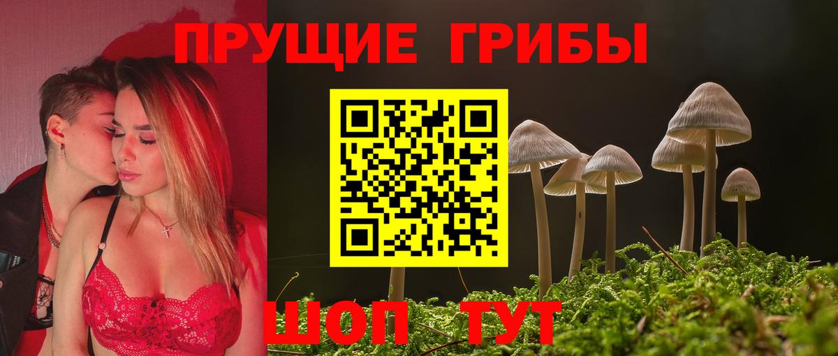 Псилоцибиновые грибы MAGIC MUSHROOMS  Вход с VPN  Семилуки 